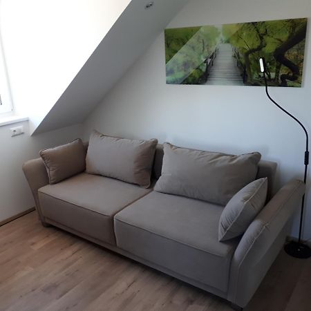Sinzing Ferienwohnung Weigert מראה חיצוני תמונה