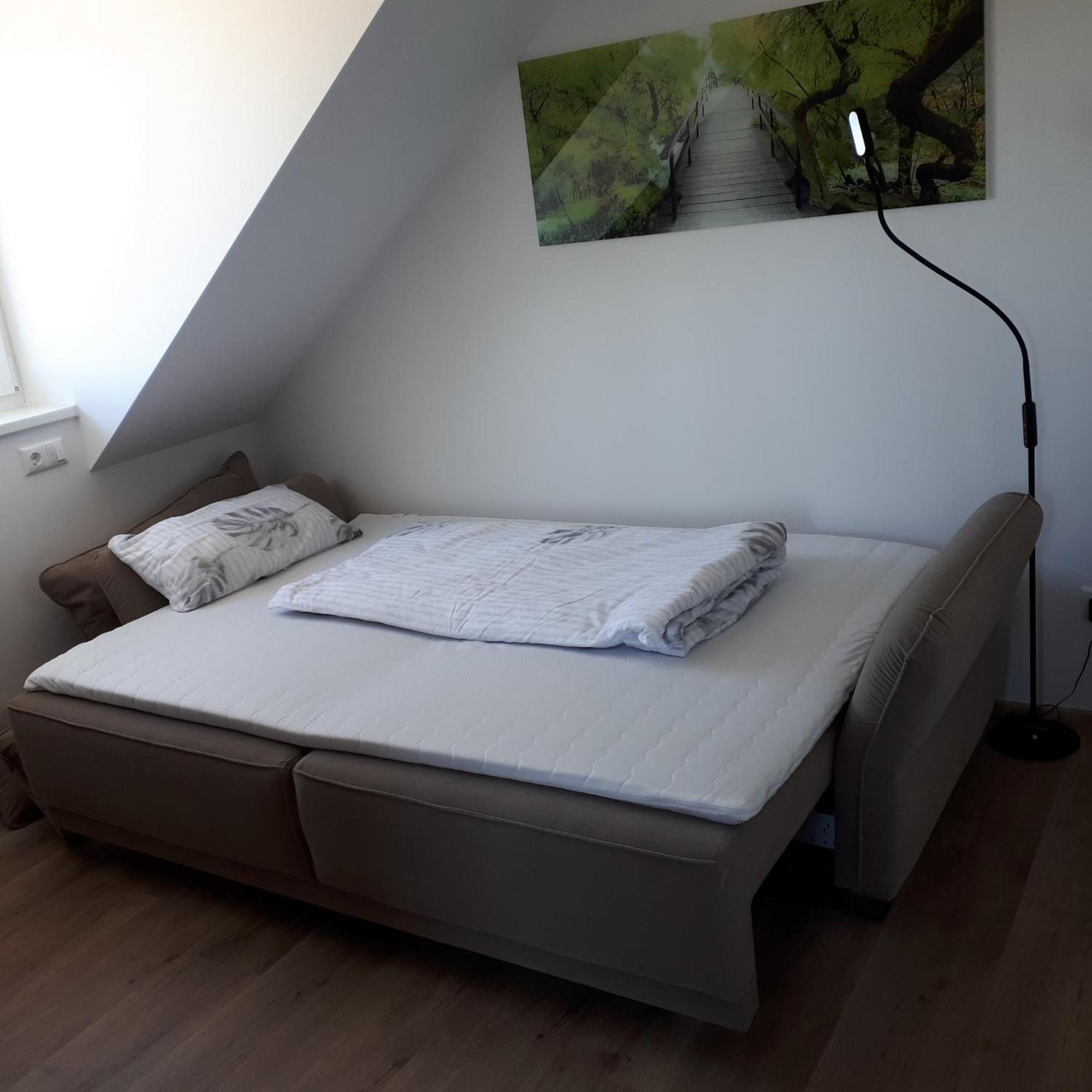 Sinzing Ferienwohnung Weigert מראה חיצוני תמונה