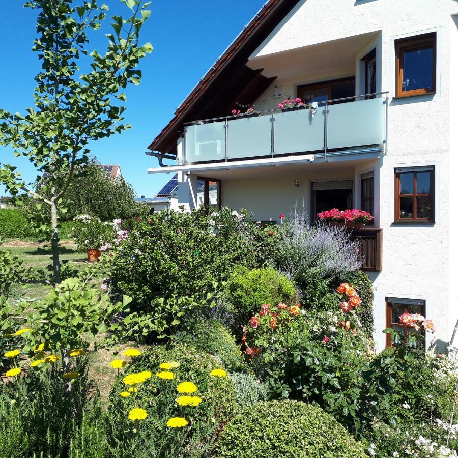Sinzing Ferienwohnung Weigert מראה חיצוני תמונה