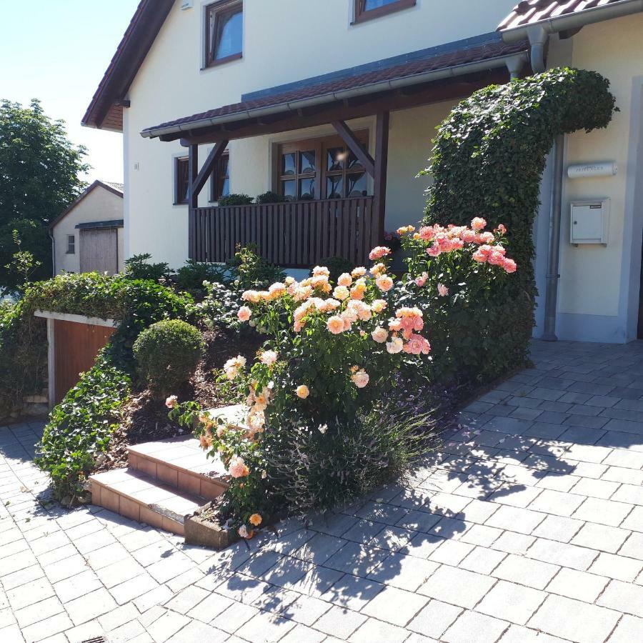 Sinzing Ferienwohnung Weigert מראה חיצוני תמונה